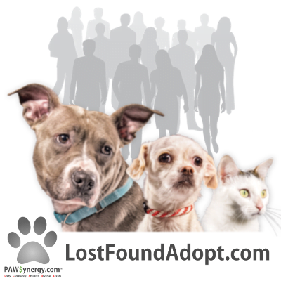 Lost~Found~Adopt Tools & Resources