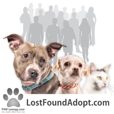 Lost~Found~Adopt